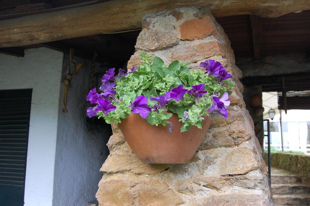 Hotel Casa Da Quinta De S. Martinho à Vila Real Extérieur photo